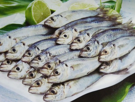 Carapau (Méd. peq)